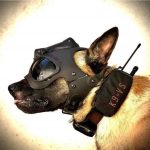K9 Vision System K9 HELM OPS K9 Vision System K9 HELM OPS