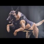 MTX K9 trilharnas Communicatie op afstand MTX K9 trilharnas Communicatie op afstand